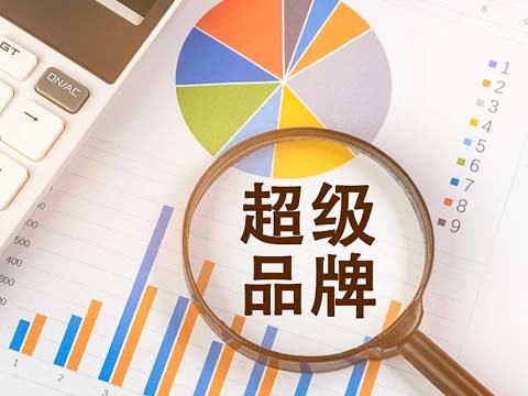 提升品牌形象：售后服务系统在企业战略中的关键作用.jpg